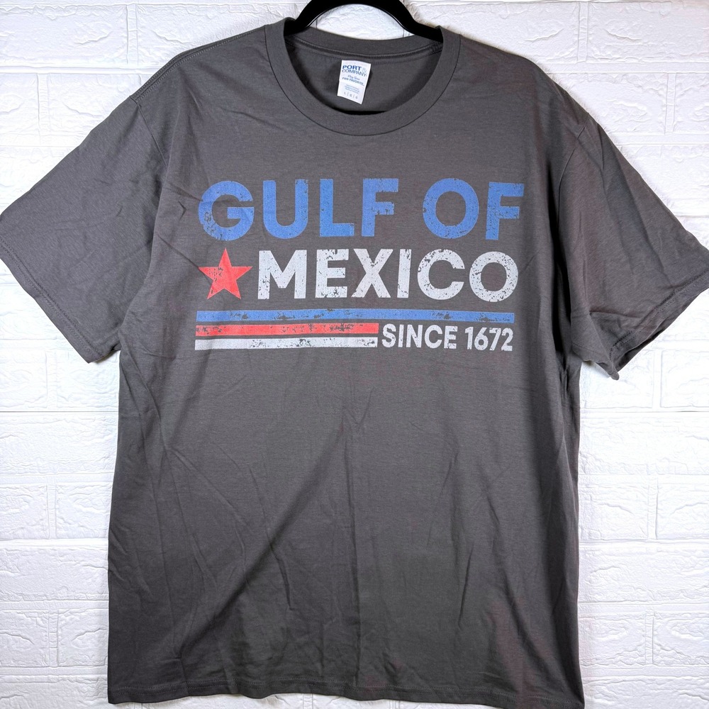 Vintage Aesthetic Gulf Of Mexico Distressed Graphic Tee Charcoal Grey